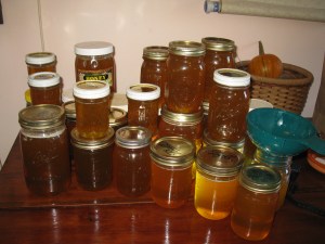 The honey harvest.