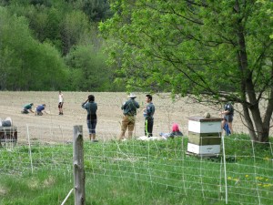 Next door, VYCC crews are at work putting in spring vegetables.